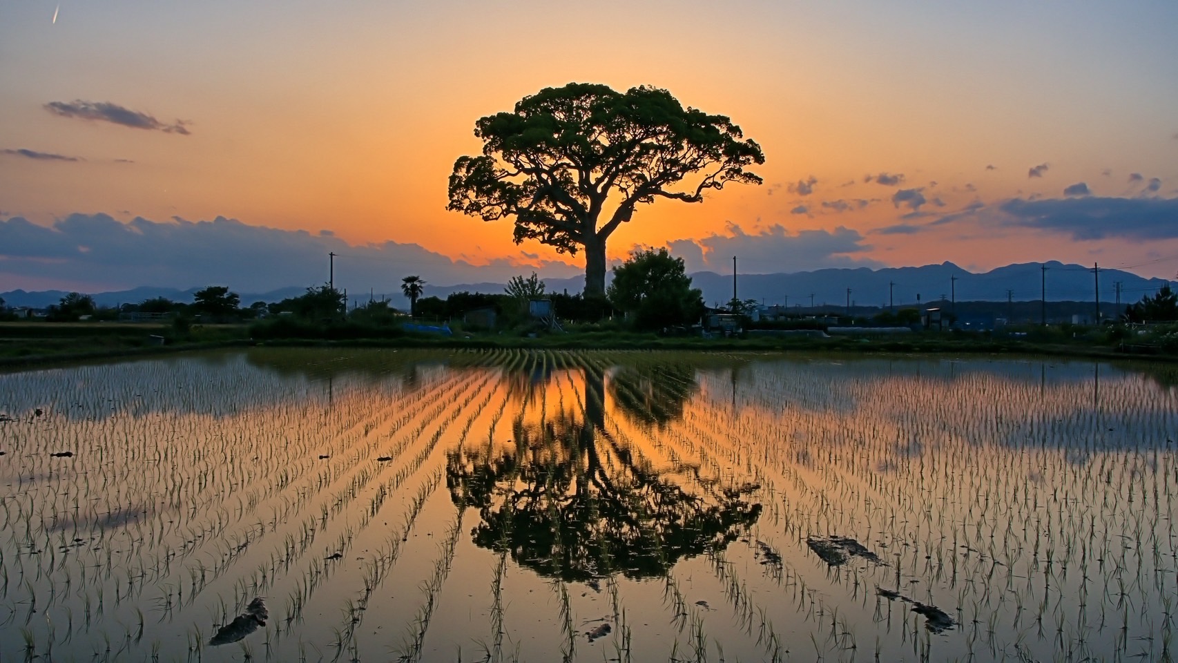 三重県の美しい夕焼けと田園風景